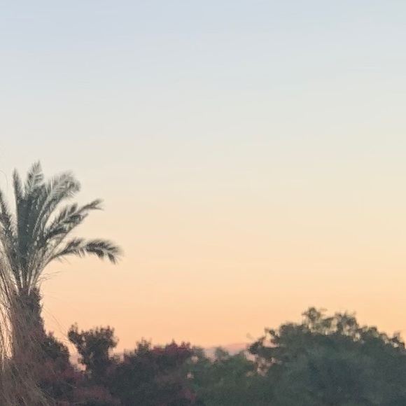 Meet your Posher, Leor - Picture 1 of 1